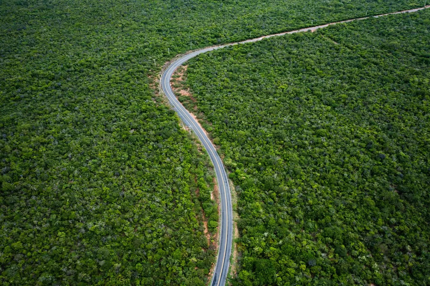 A road winding through dense green forest, seen from above