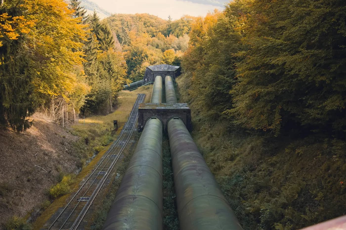 Twin pipelines running down a wooded valley