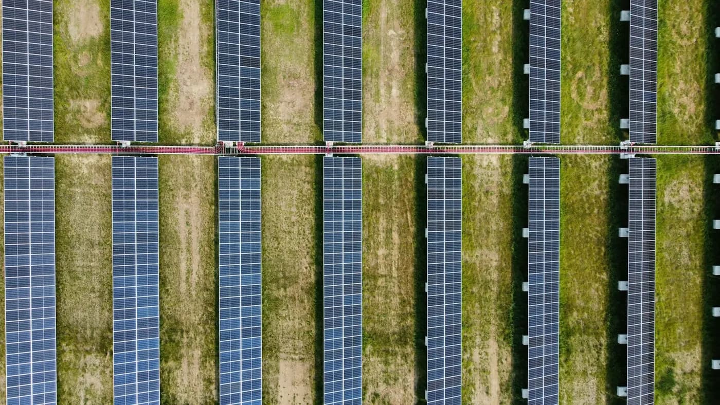 Rows of solar panels across a field, seen from above