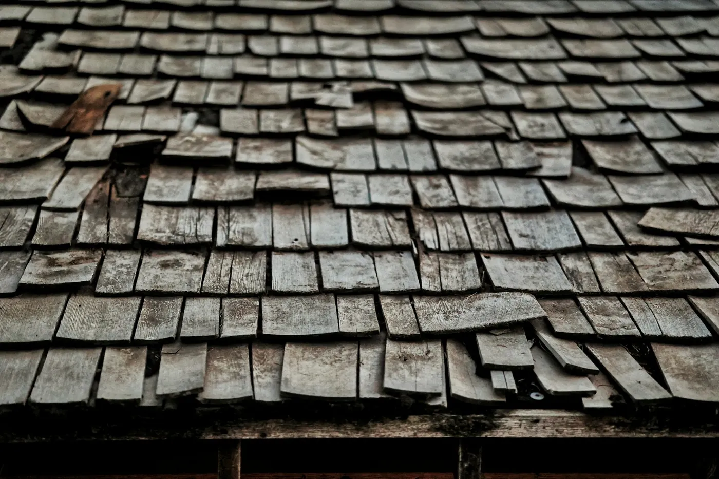 Close-up of weathered wooden shingles with gaps